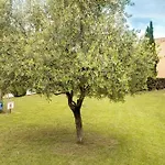 Casarella Massari Apartamento