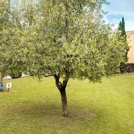 Casarella Massari アパート